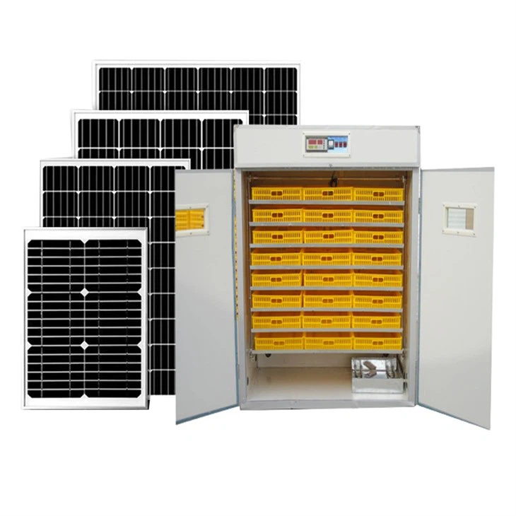 best budget incubator