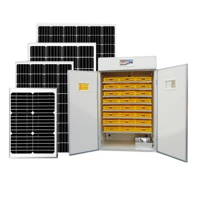 2112 Solar Egg Incubator and Hatcher