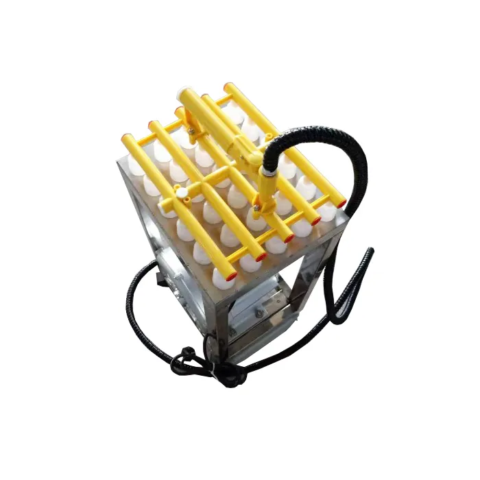 Vacuum Egg Pump